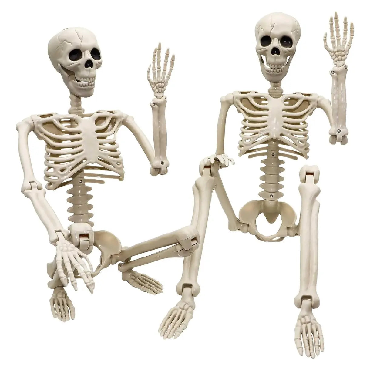 2 Pack 36"Halloween Skeleton - 3 Ft Life Size Human Skeleton with Full Body Posable Joints Plastic Skeleton for Halloween Skeletons Decor Yard Patio Lawn Garden Skeleton Props Spooky Party Decoration