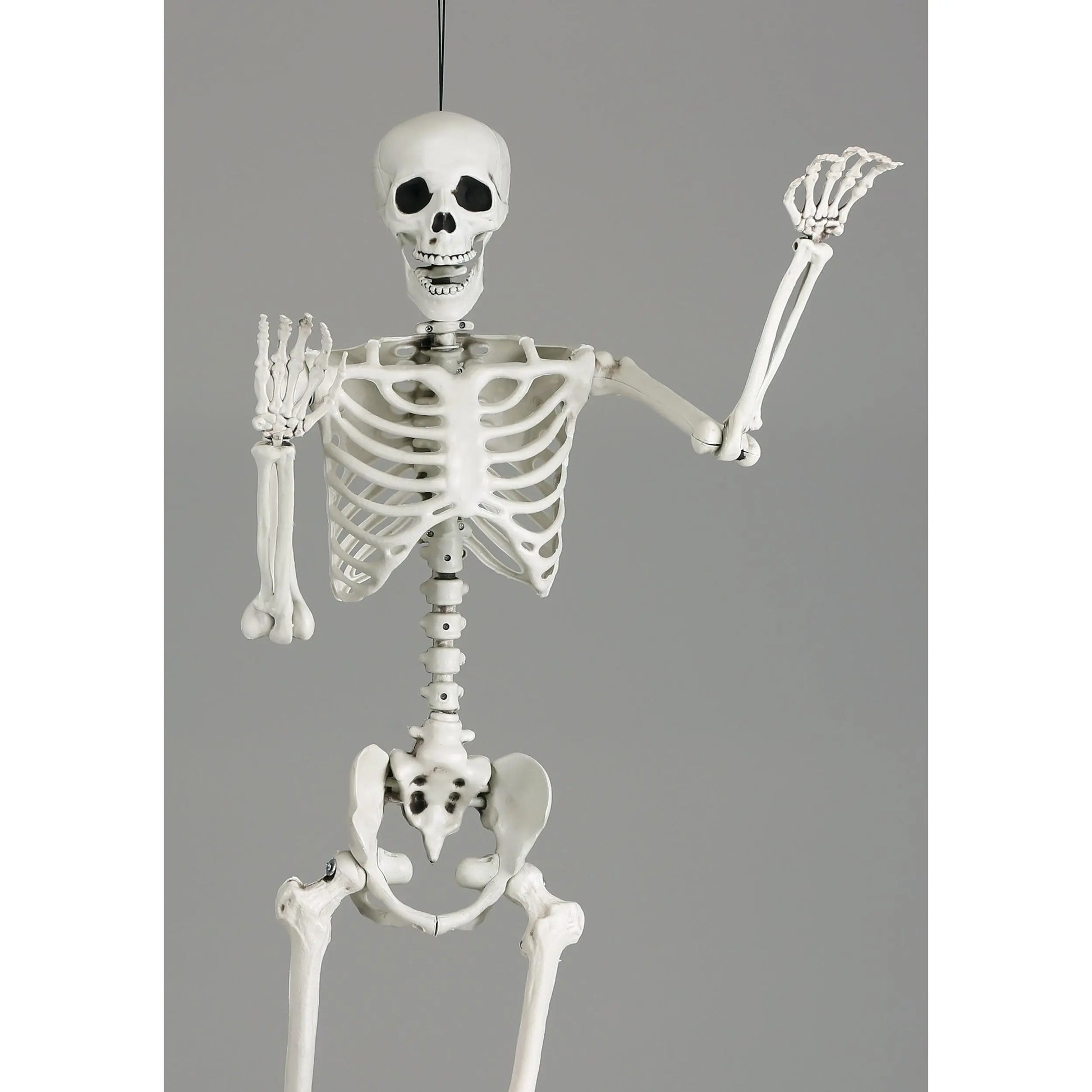 5 Foot Posable Skeleton Life Size Prop