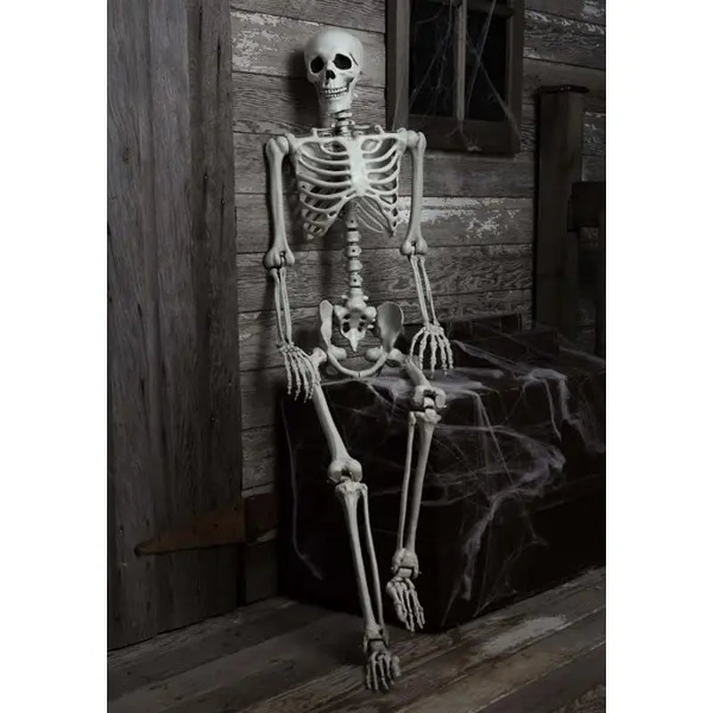 5 Foot Posable Skeleton Life Size Prop