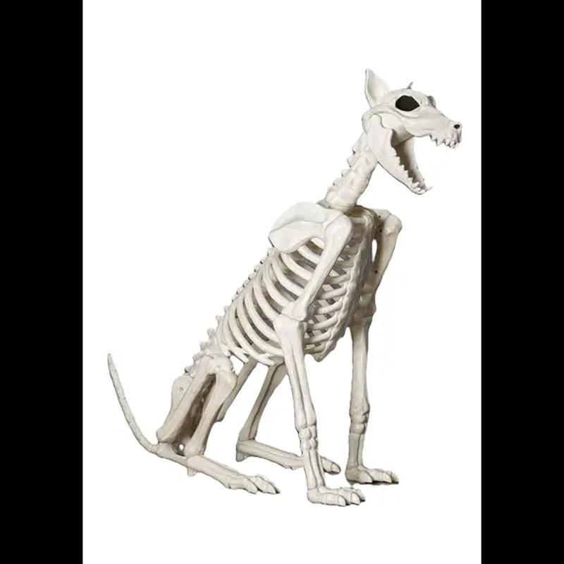 Spike the Skeleton Dog Halloween Decoration