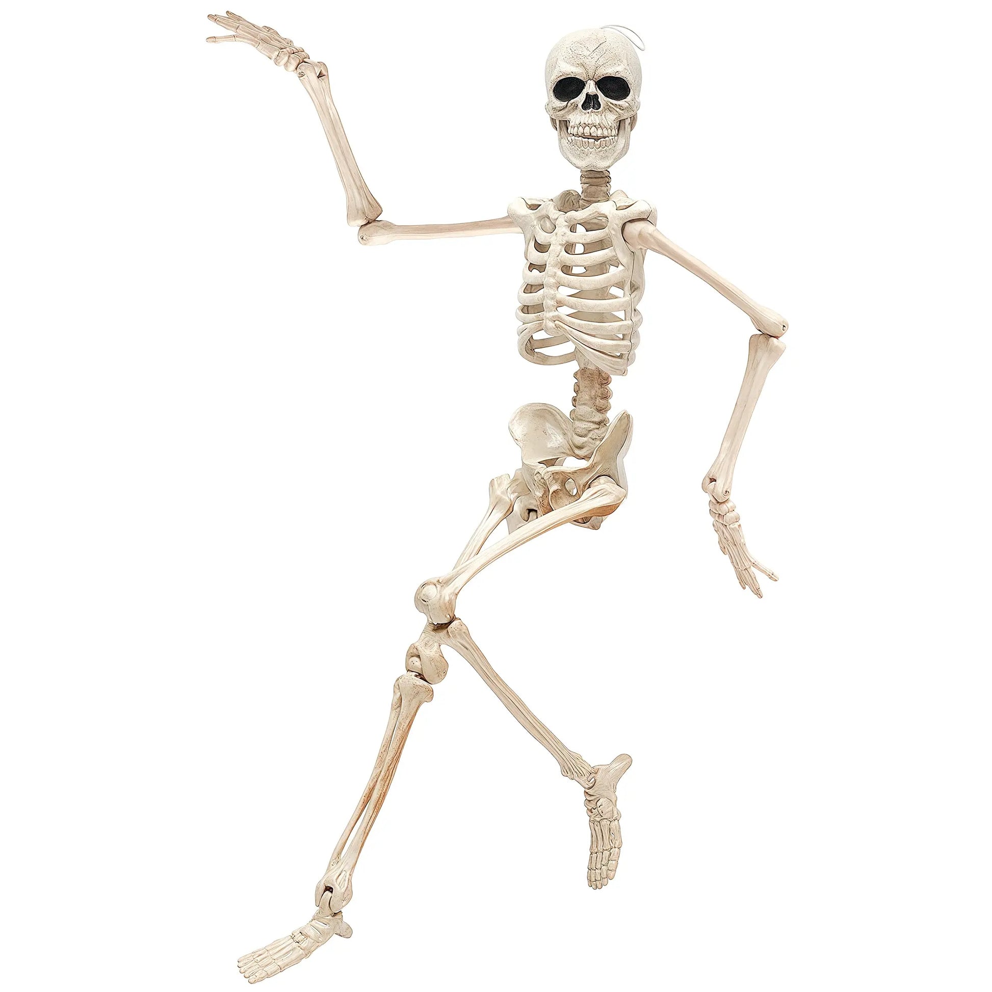 16-Inch Halloween Party Skeleton with Movable Joints, Realistic Full-Body Decor for Haunted House Props, Spooky Halloween Decoration, Adjustable Ornaments, Standing
