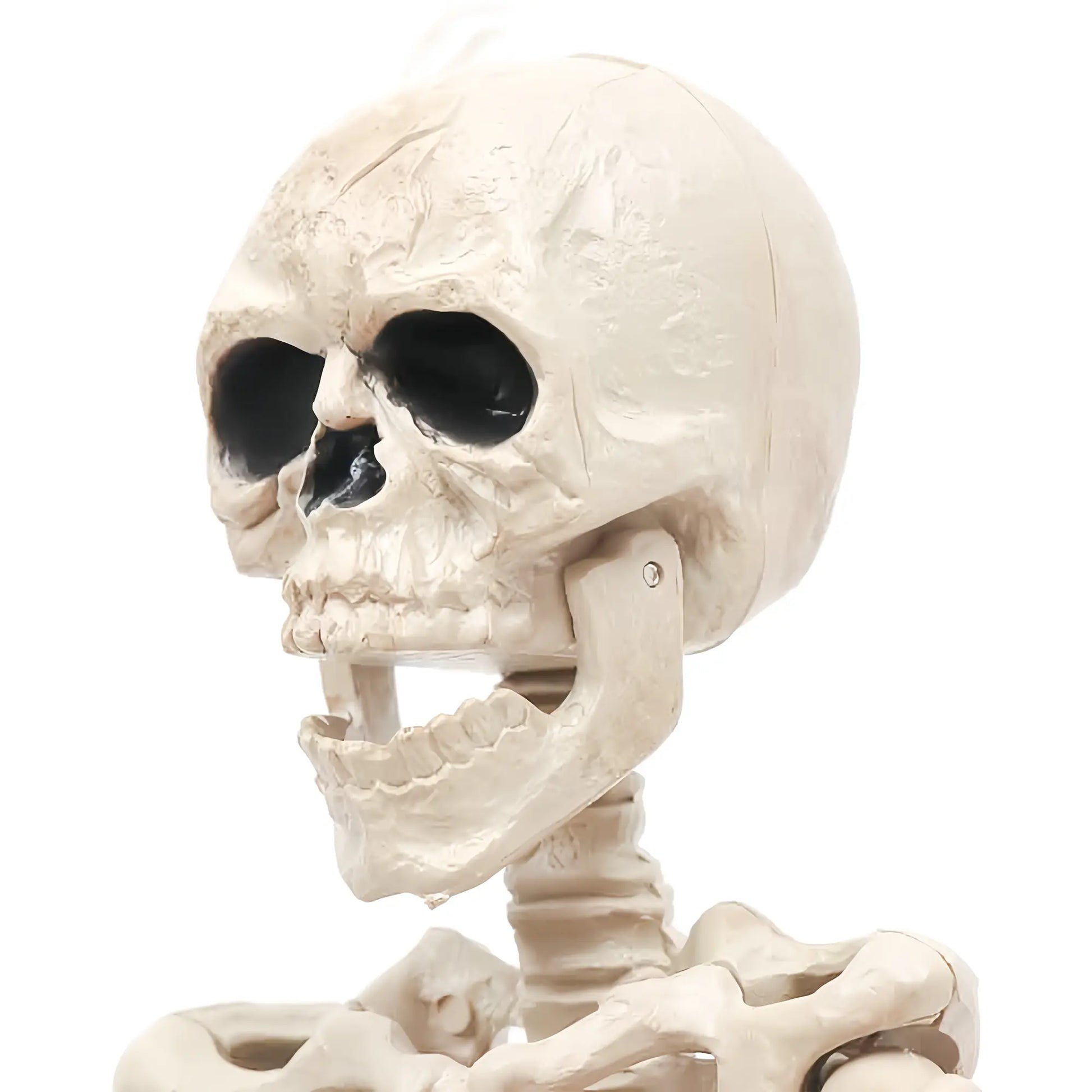 16-Inch Halloween Party Skeleton with Movable Joints, Realistic Full-Body Decor for Haunted House Props, Spooky Halloween Decoration, Adjustable Ornaments, Standing