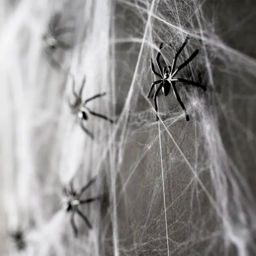 Halloween Decorations, Spider Web Hanging Ornaments, Door Hanger, Wall Hanger & Realistic Black Furry Spider, Remote Control, Easy Setup for Halloween Party