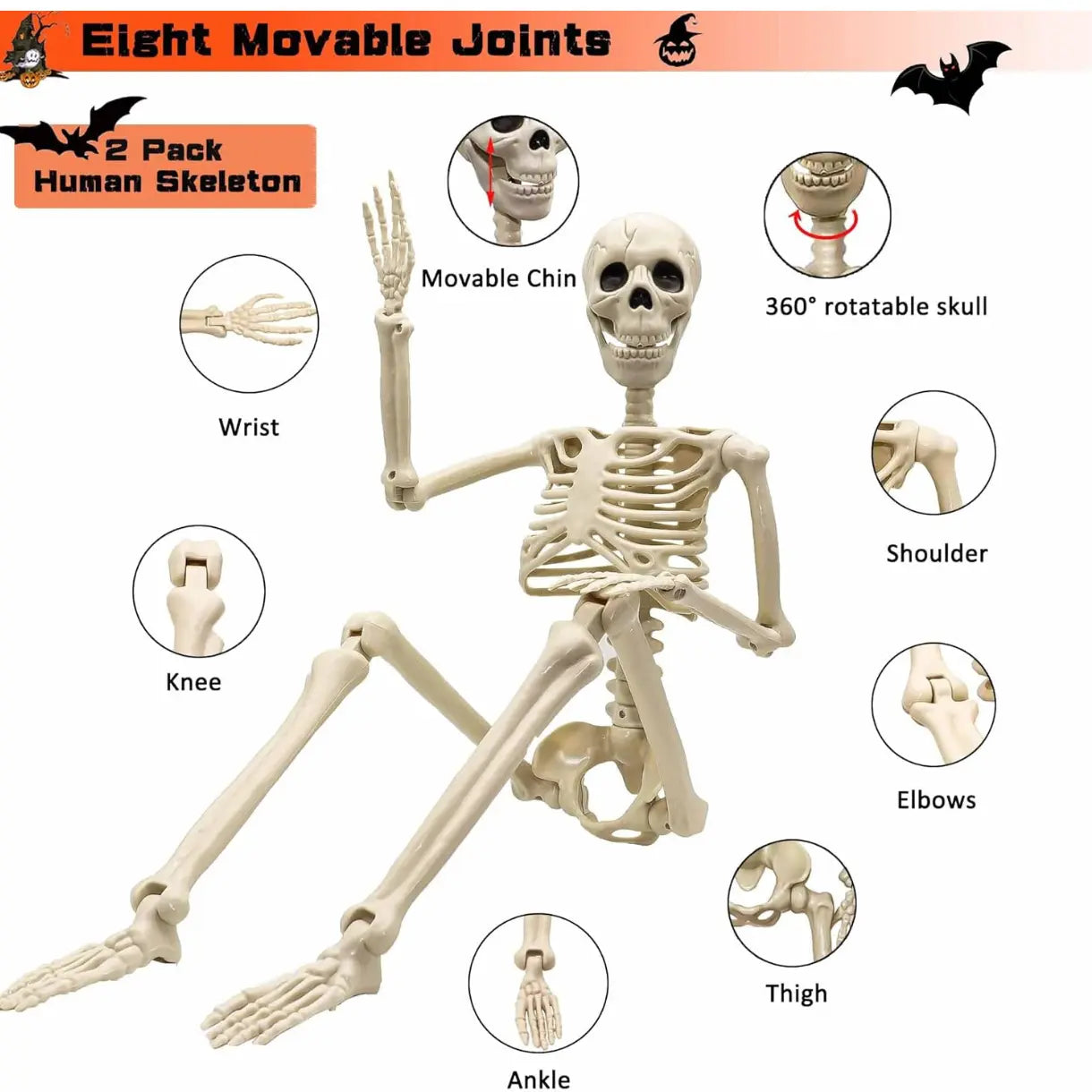 2 Pack 36"Halloween Skeleton - 3 Ft Life Size Human Skeleton with Full Body Posable Joints Plastic Skeleton for Halloween Skeletons Decor Yard Patio Lawn Garden Skeleton Props Spooky Party Decoration