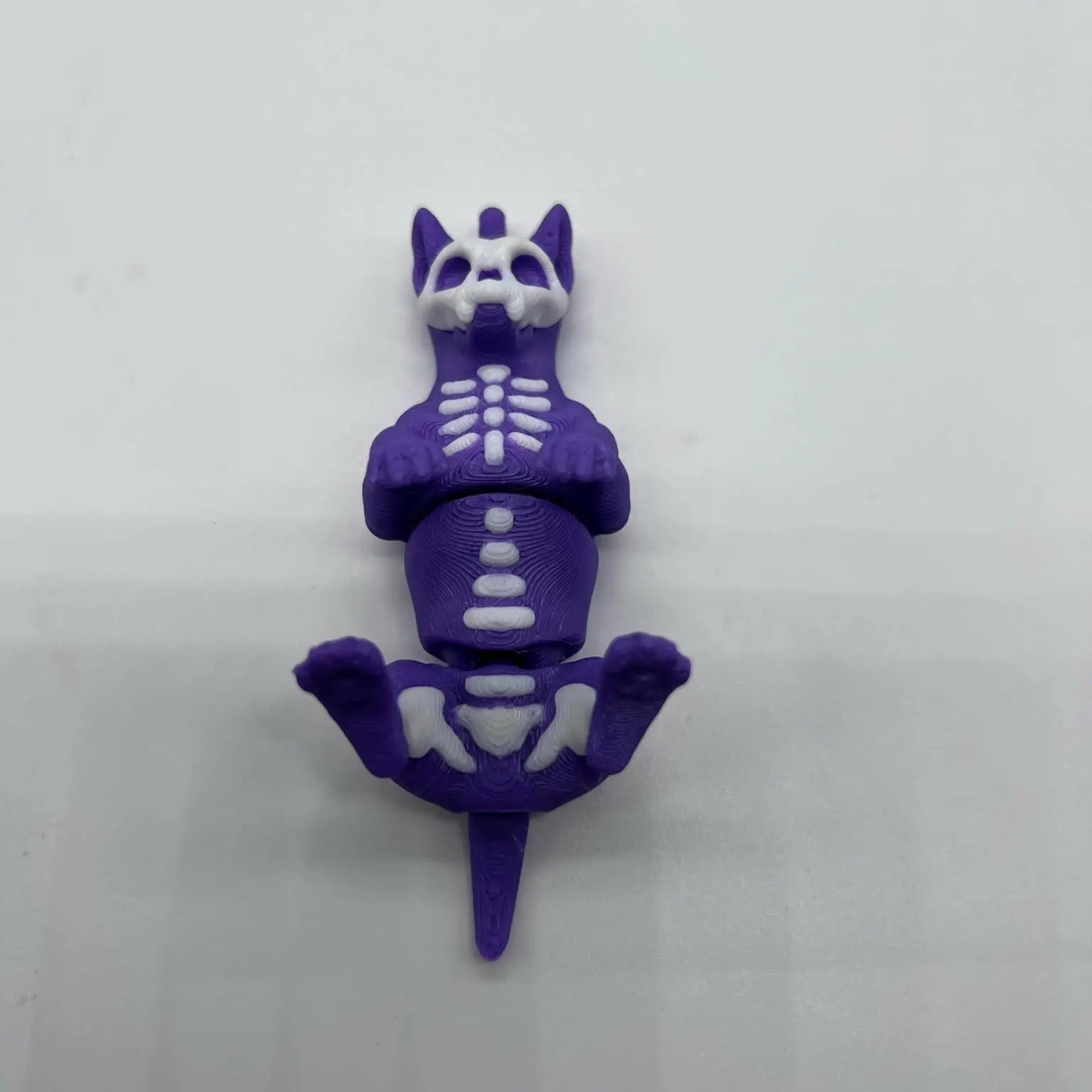Spooky 3D Printed Skeleton Cat and Dog Halloween Decoration for Home