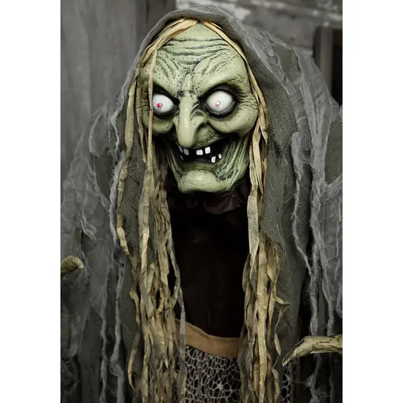 5 Foot Hag the Witch Animatronic Decoration