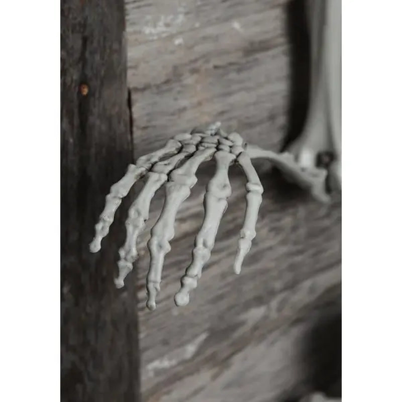5 Foot Posable Skeleton Life Size Prop